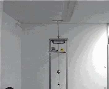 animation